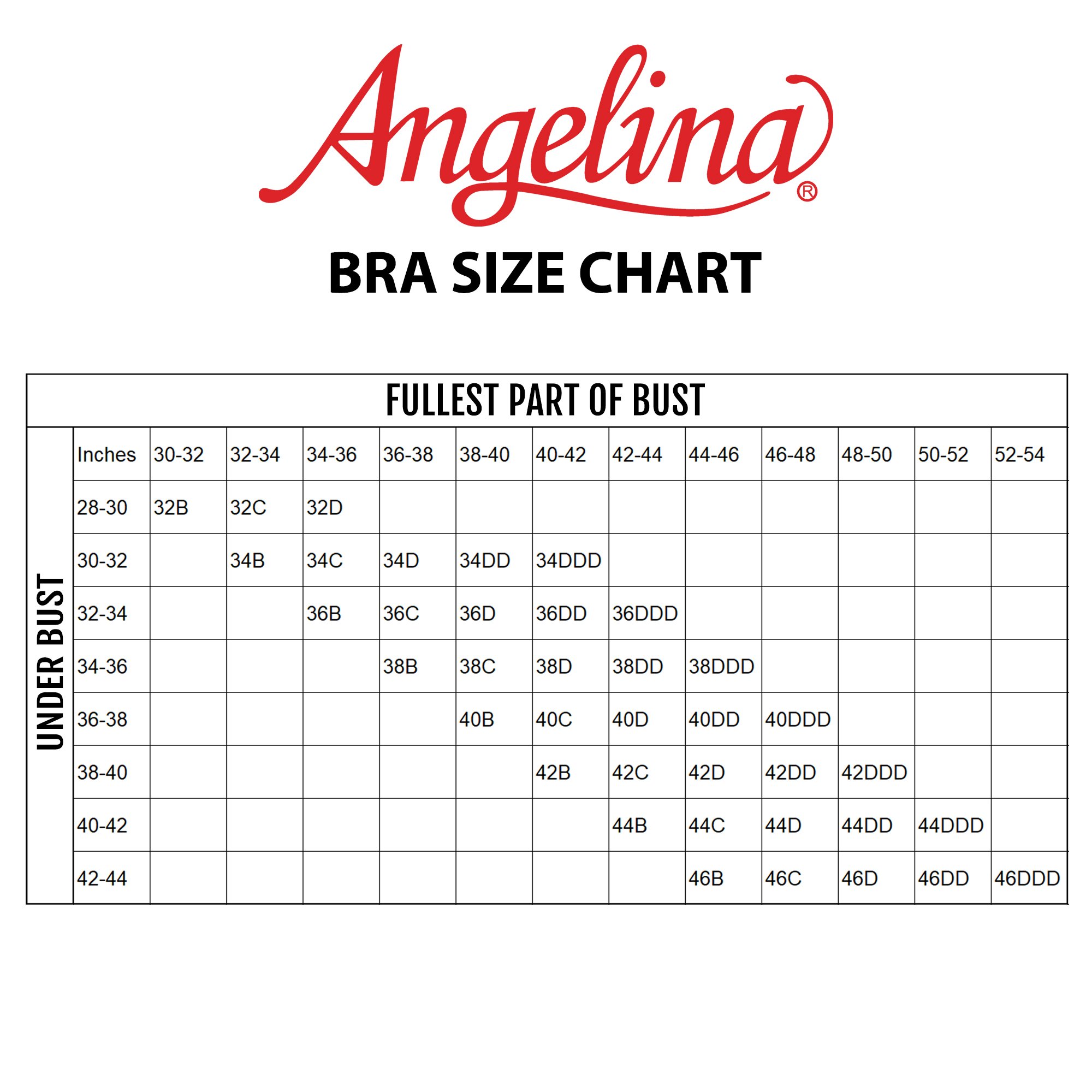 Angelina Women's Lace Accented Full Cup Bras w/Extra Wide Wings (6-Pack) - Image 7